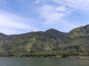 lukisan hidupan laut hitam putih