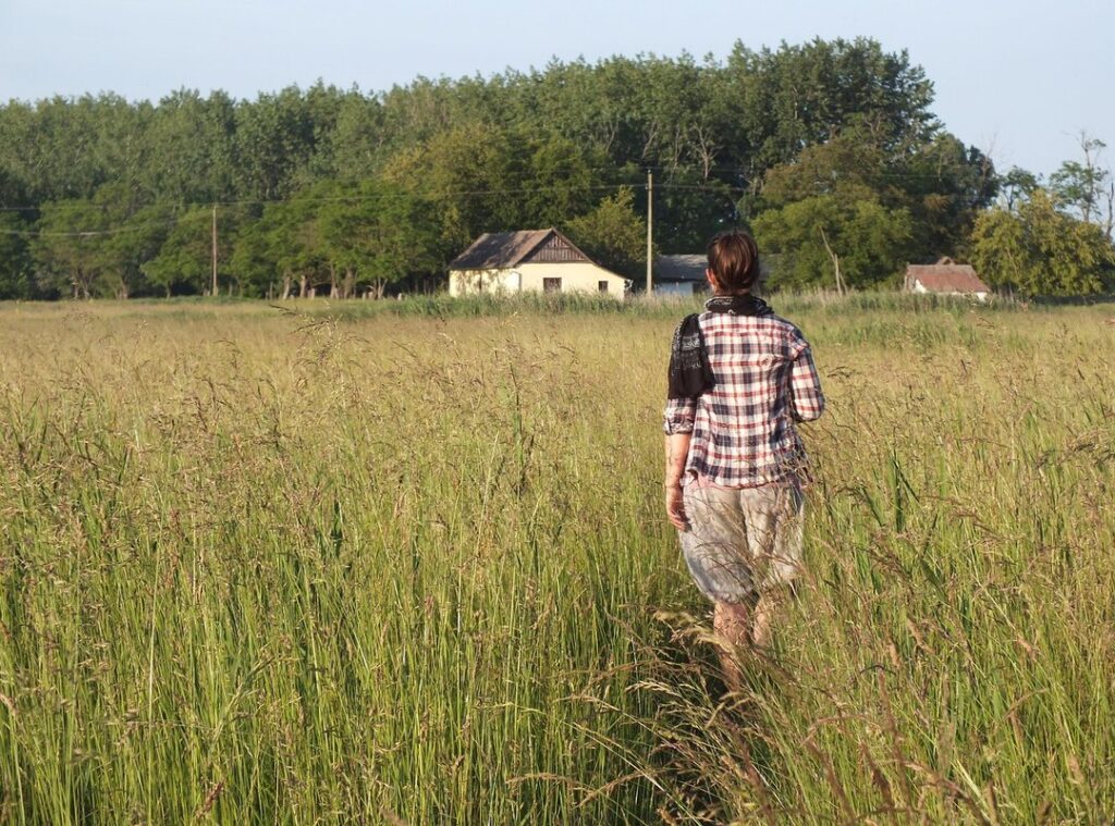 Sffarehockey Statistics Yesterday