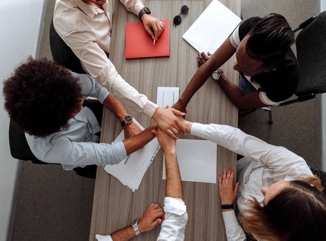 team cohesion strategies